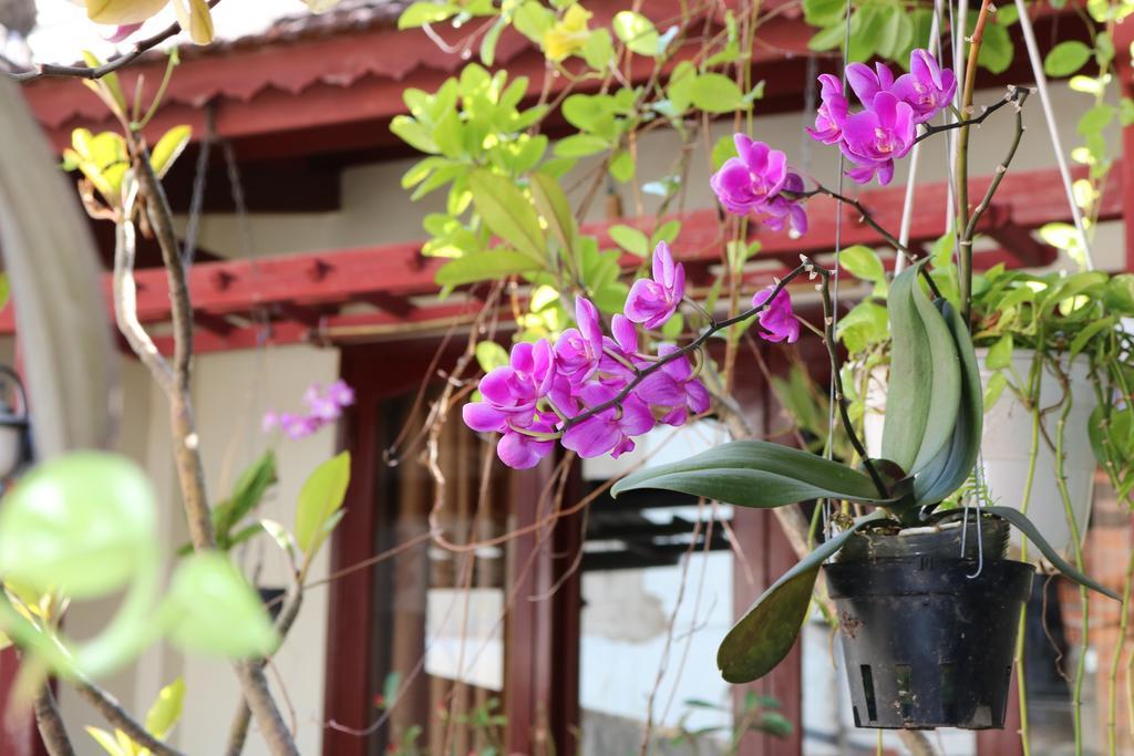 Nhi Trung Hotel Hoi An Exteriör bild